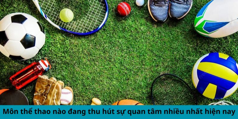 Môn thể thao nào đang thu hút sự quan tâm nhiều nhất hiện nay