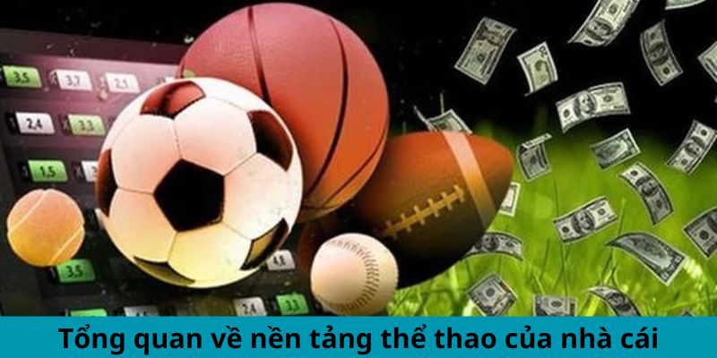 Tổng quan về nền tảng thể thao của nhà cái